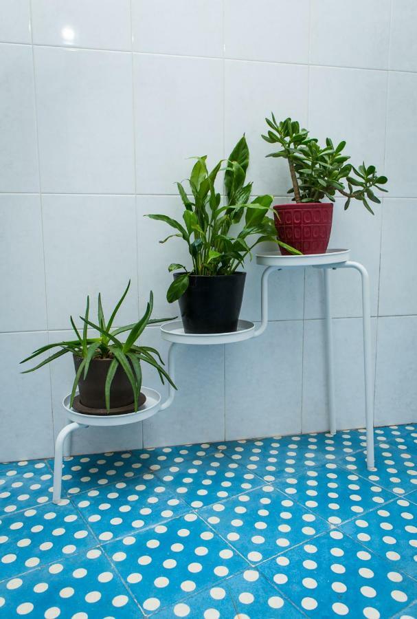 Downtown Shelter - Casa Da Praca Apartment Aveiro Luaran gambar